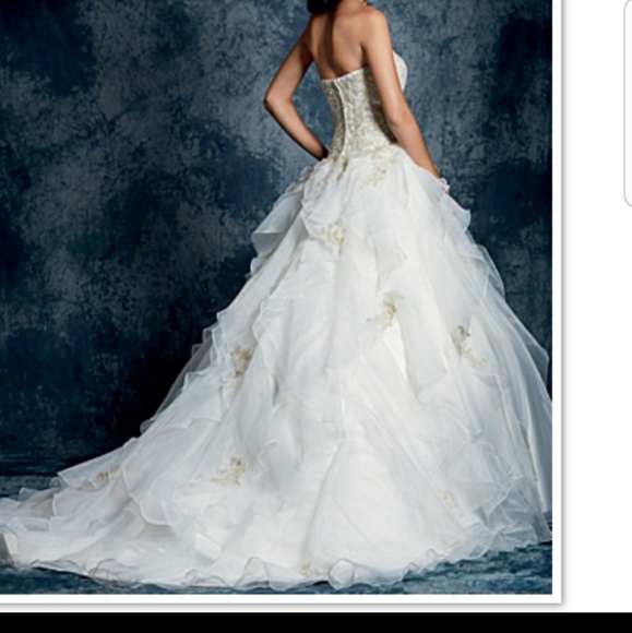 Alfred Angelo Sapphire 899 Wedding Dress - Picture 3 of 17